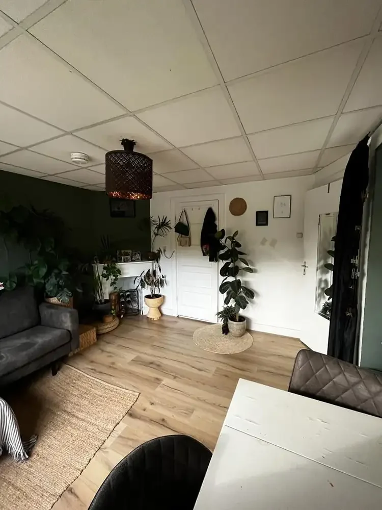 geblurde versie van de foto als achtergrond