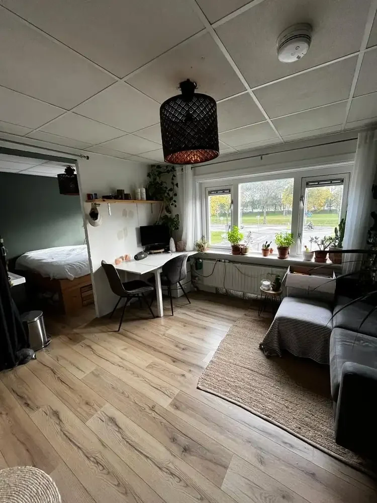geblurde versie van de foto als achtergrond
