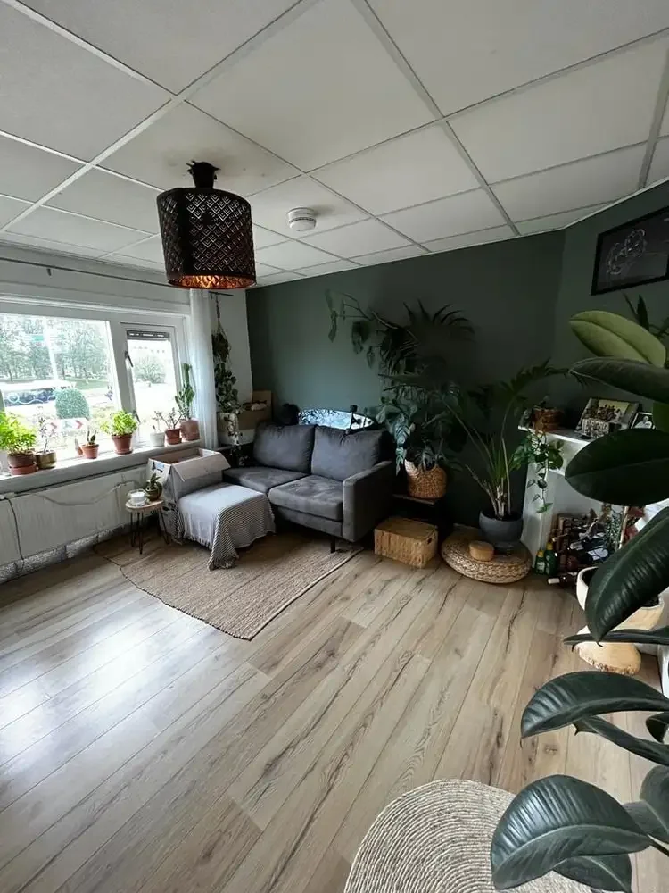 geblurde versie van de foto als achtergrond