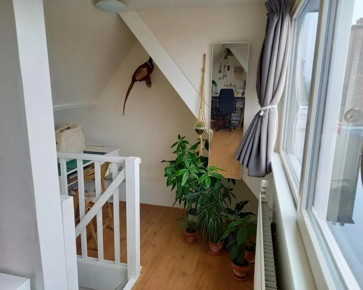 geblurde versie van de foto als achtergrond