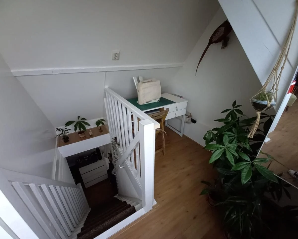 geblurde versie van de foto als achtergrond