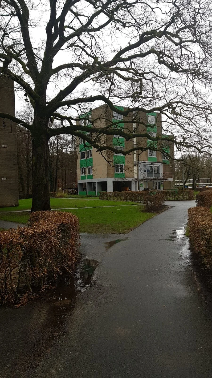 Foto van de Kamer gelegen aan de Campuslaan in Enschede