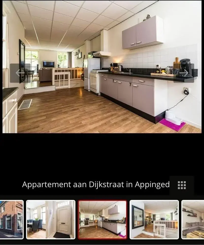 geblurde versie van de foto als achtergrond