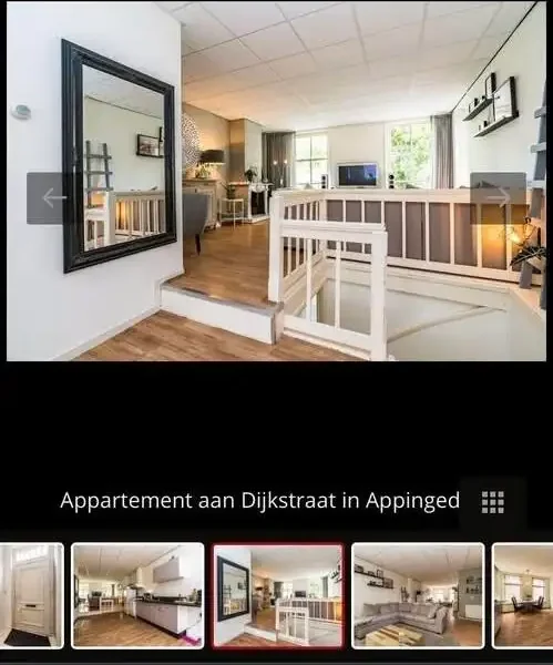 geblurde versie van de foto als achtergrond