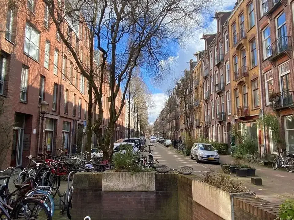 geblurde versie van de foto als achtergrond