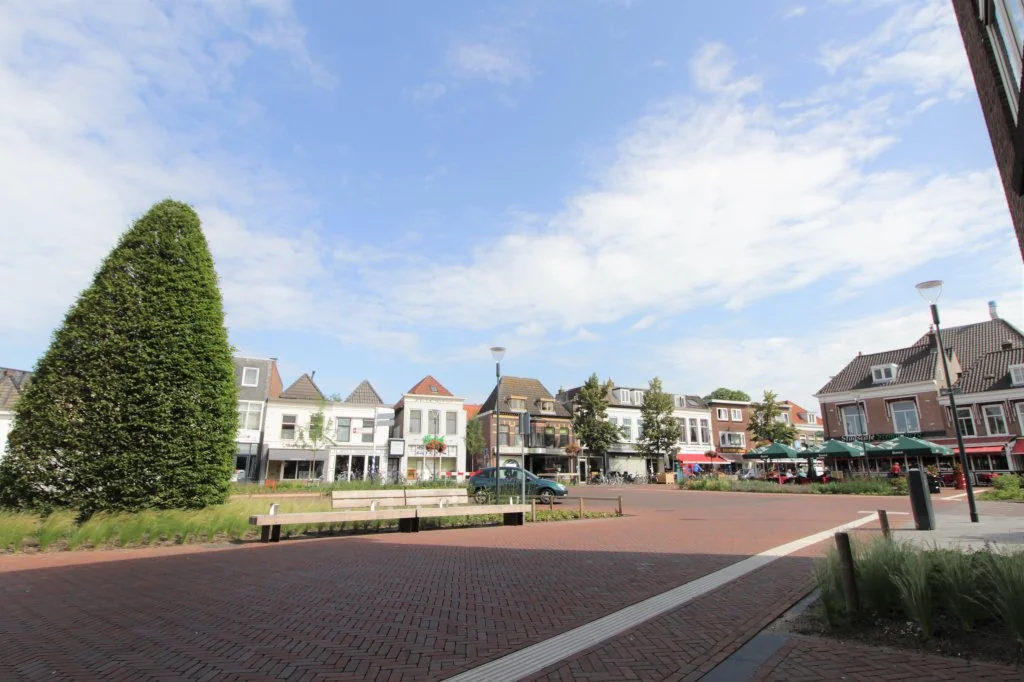 geblurde versie van de foto als achtergrond