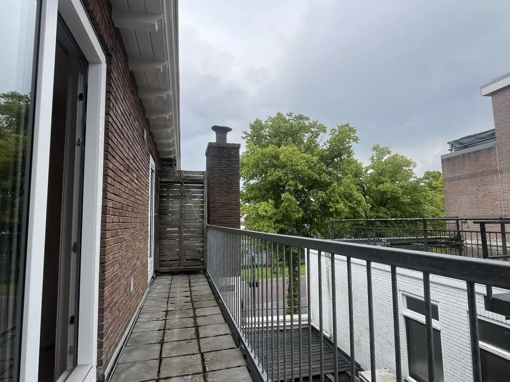geblurde versie van de foto als achtergrond