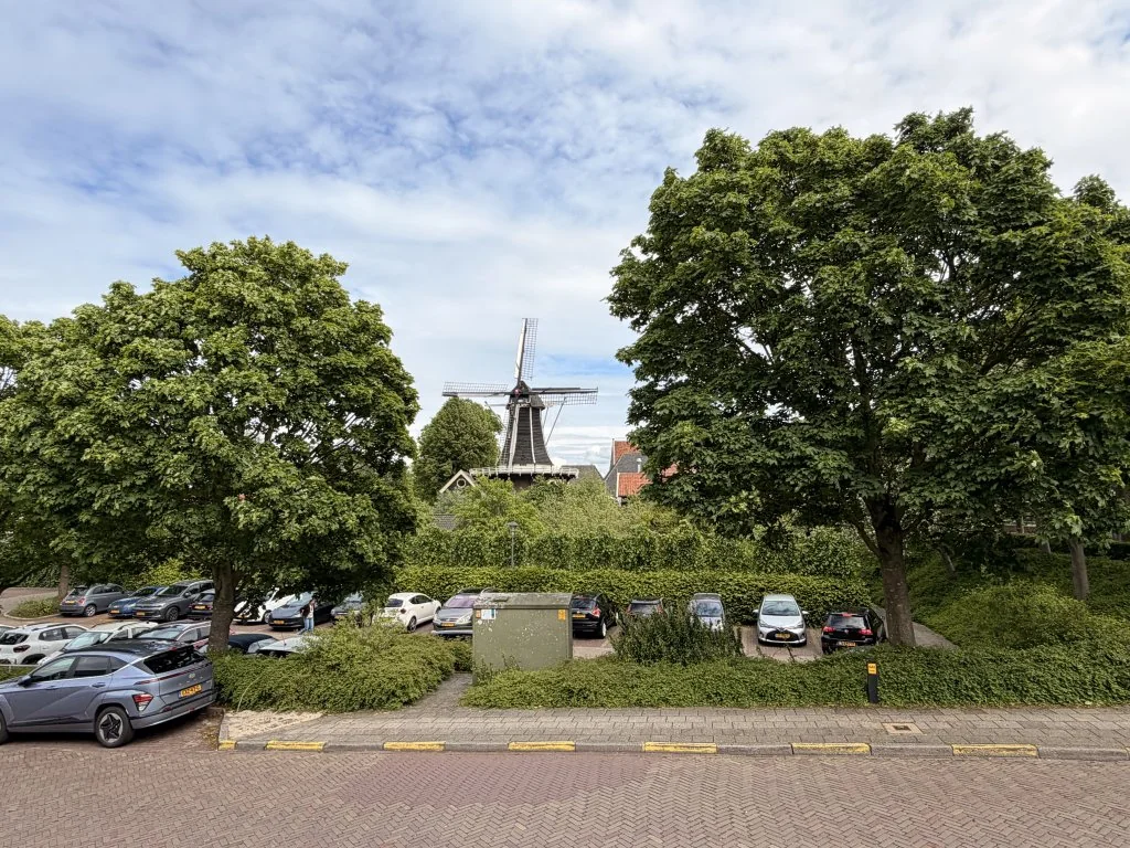 geblurde versie van de foto als achtergrond