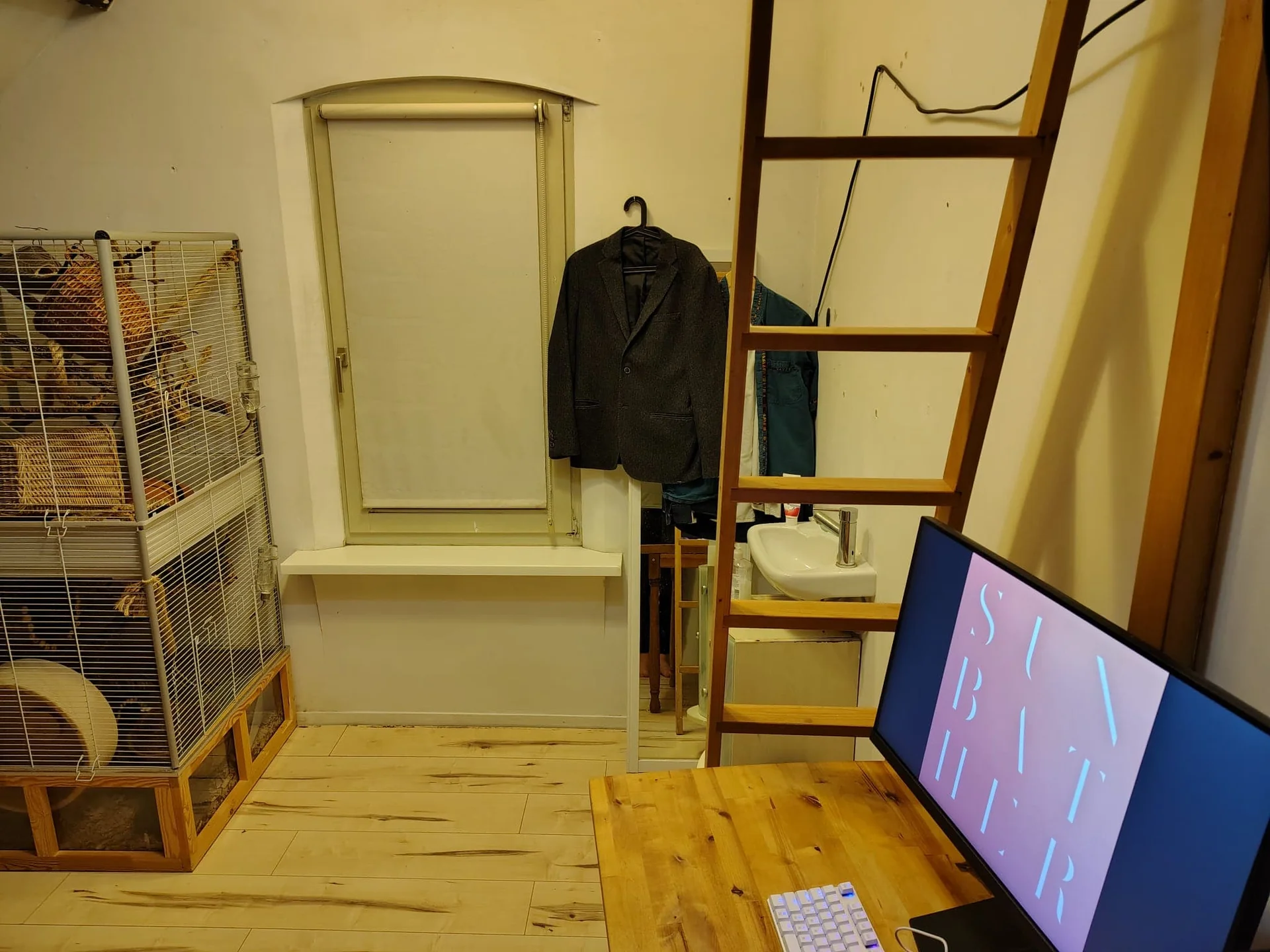 geblurde versie van de foto als achtergrond