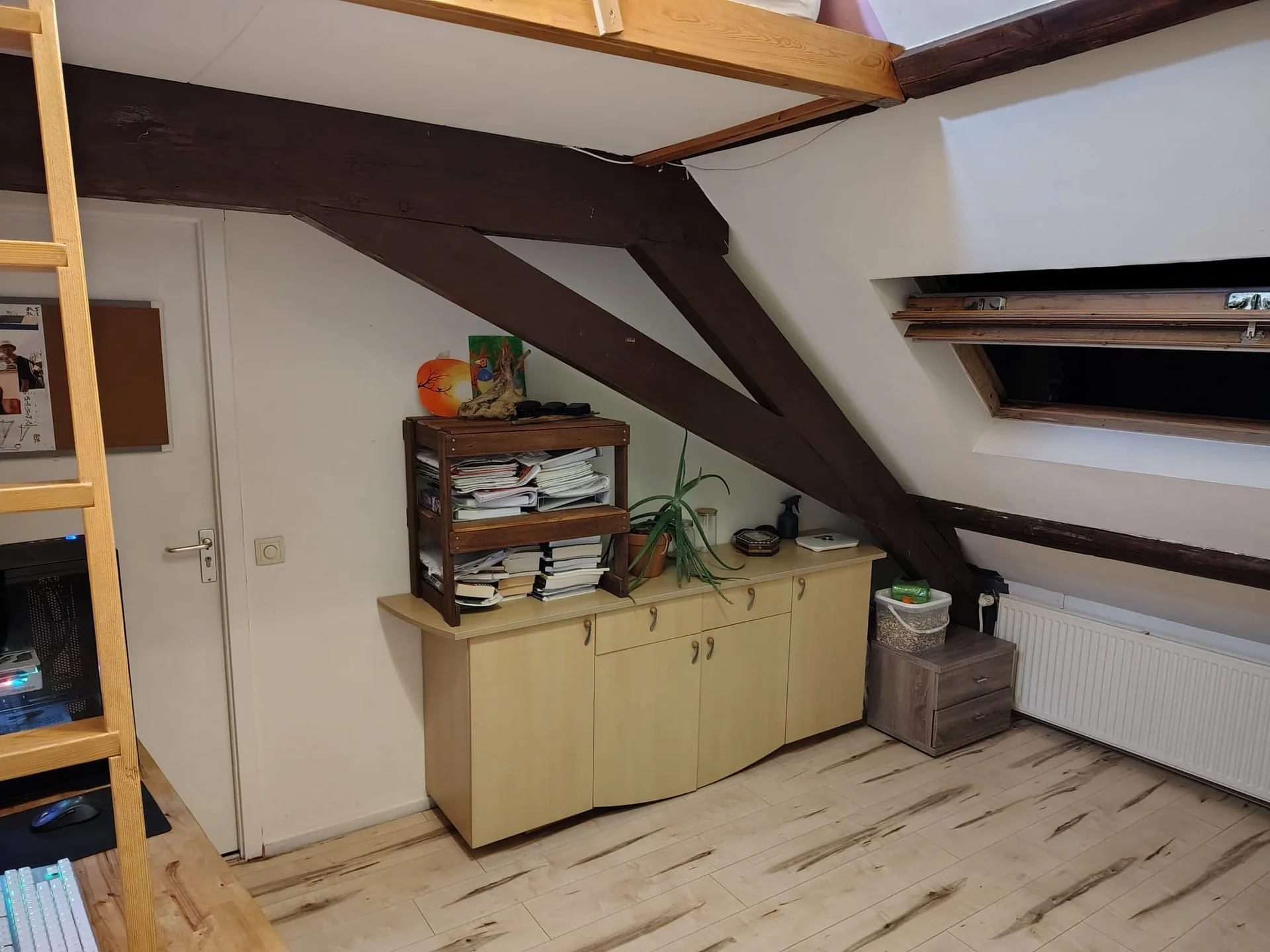 geblurde versie van de foto als achtergrond