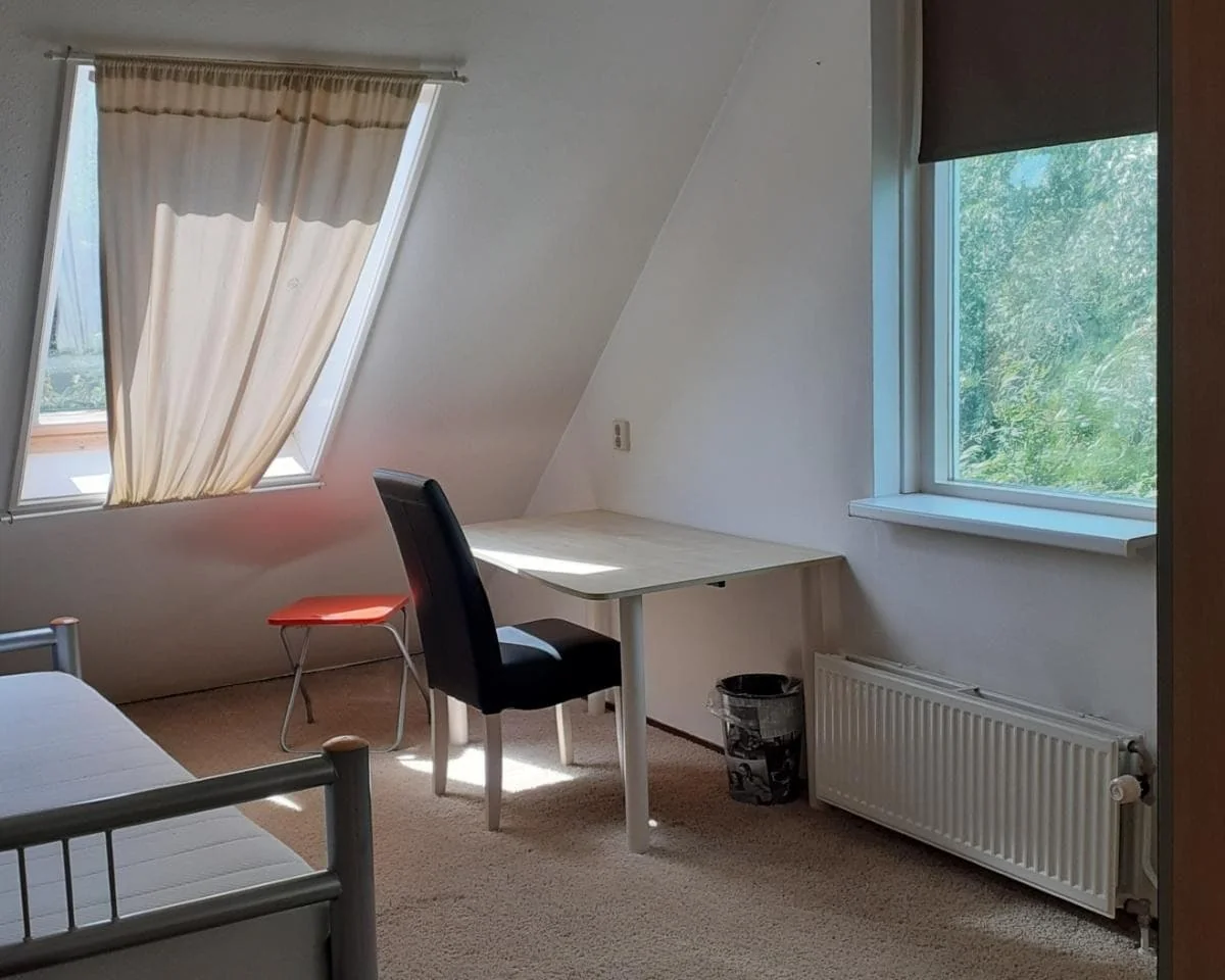 geblurde versie van de foto als achtergrond