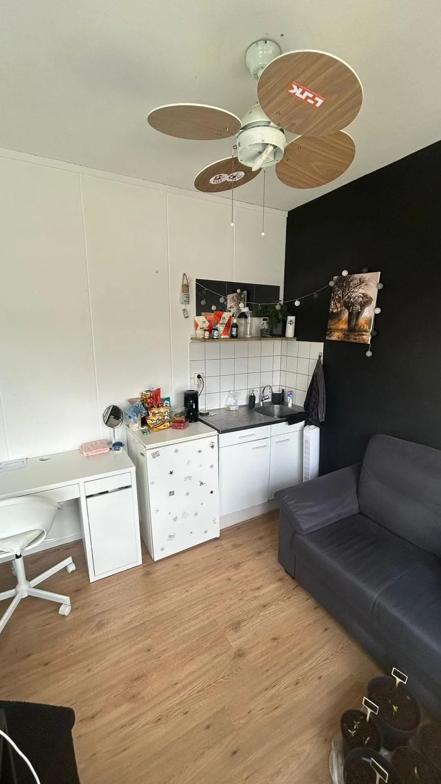 geblurde versie van de foto als achtergrond