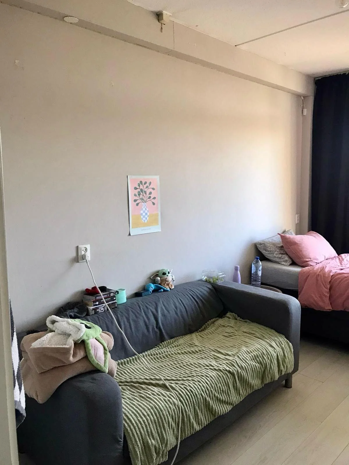 geblurde versie van de foto als achtergrond