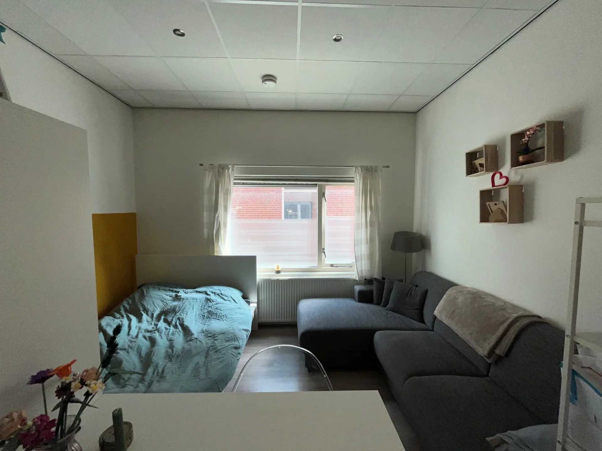 geblurde versie van de foto als achtergrond