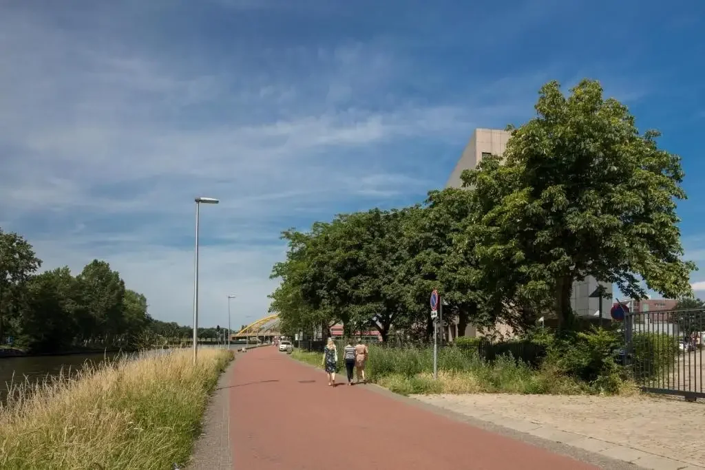 geblurde versie van de foto als achtergrond