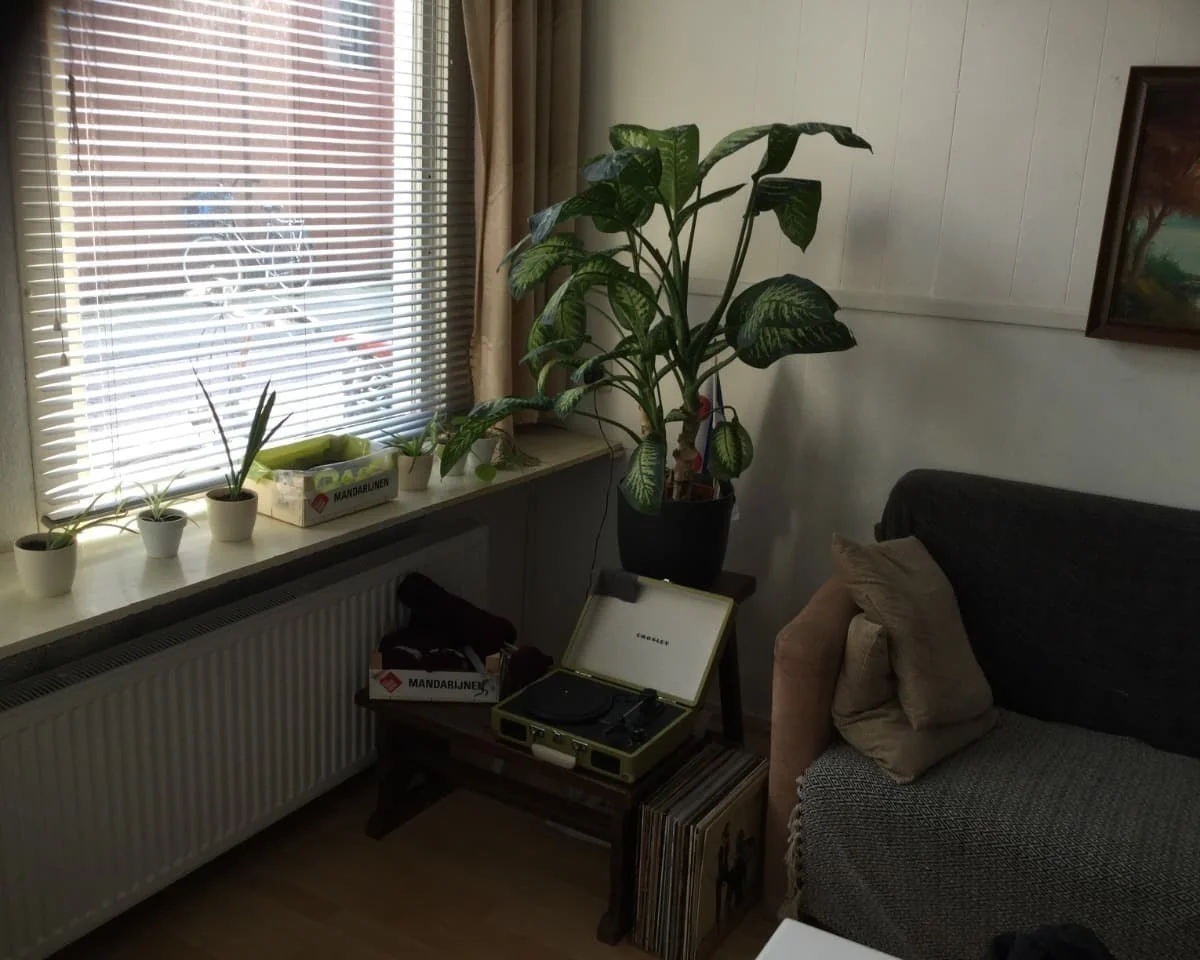 geblurde versie van de foto als achtergrond