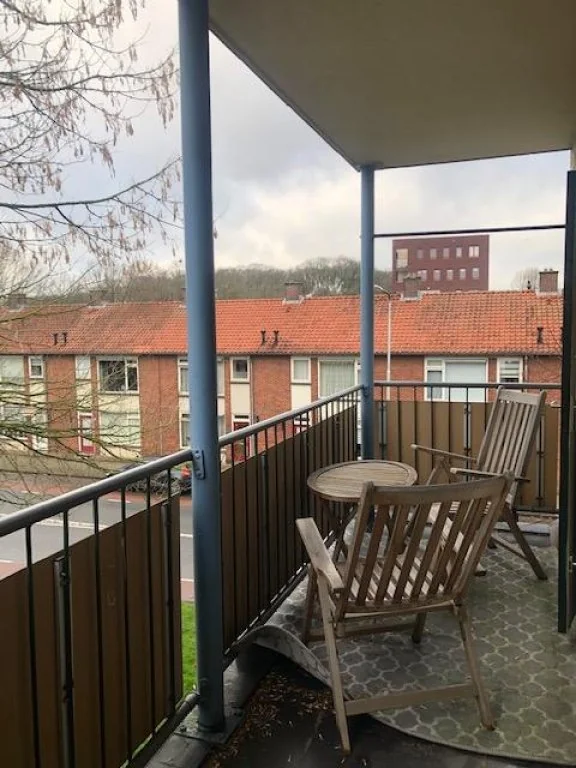 geblurde versie van de foto als achtergrond