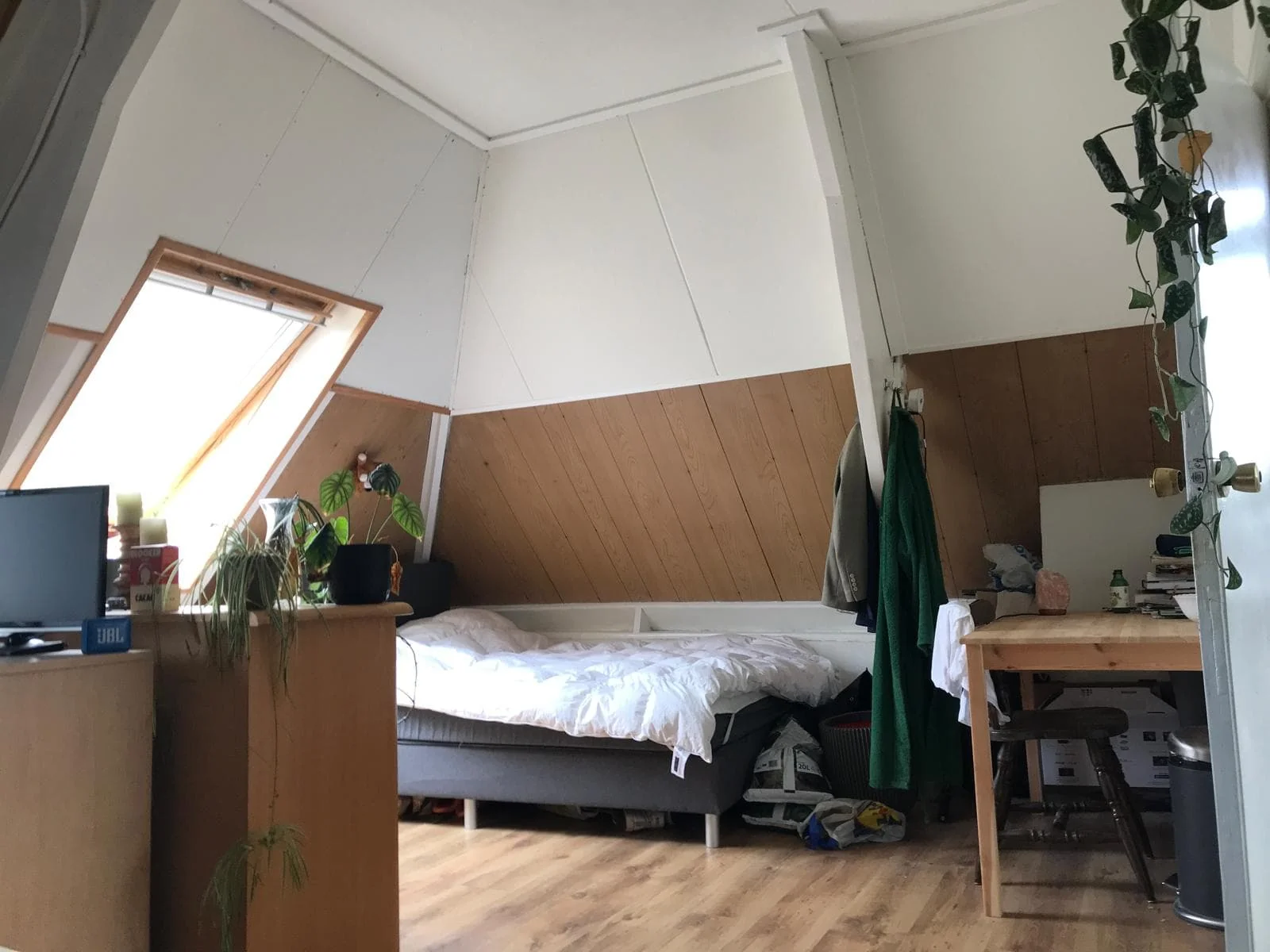 geblurde versie van de foto als achtergrond