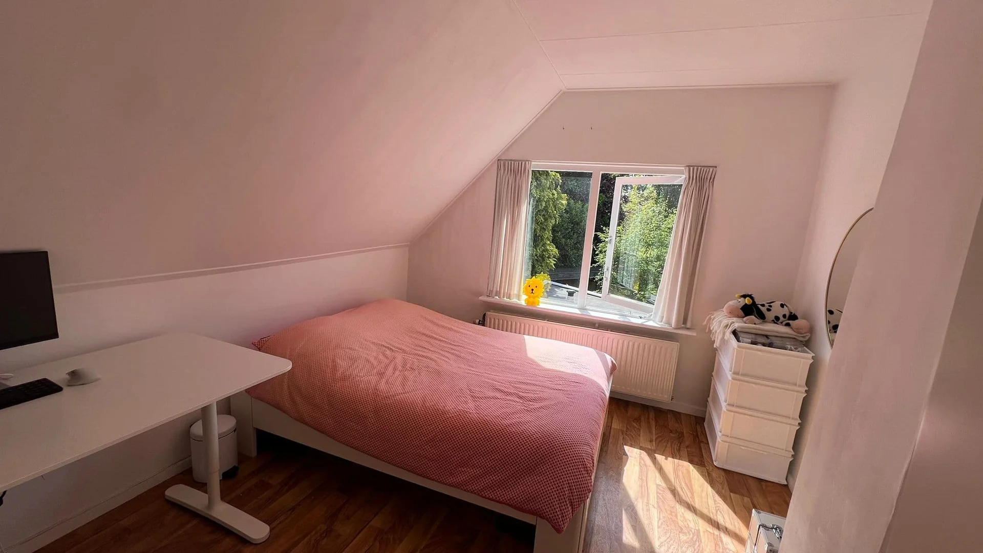 geblurde versie van de foto als achtergrond