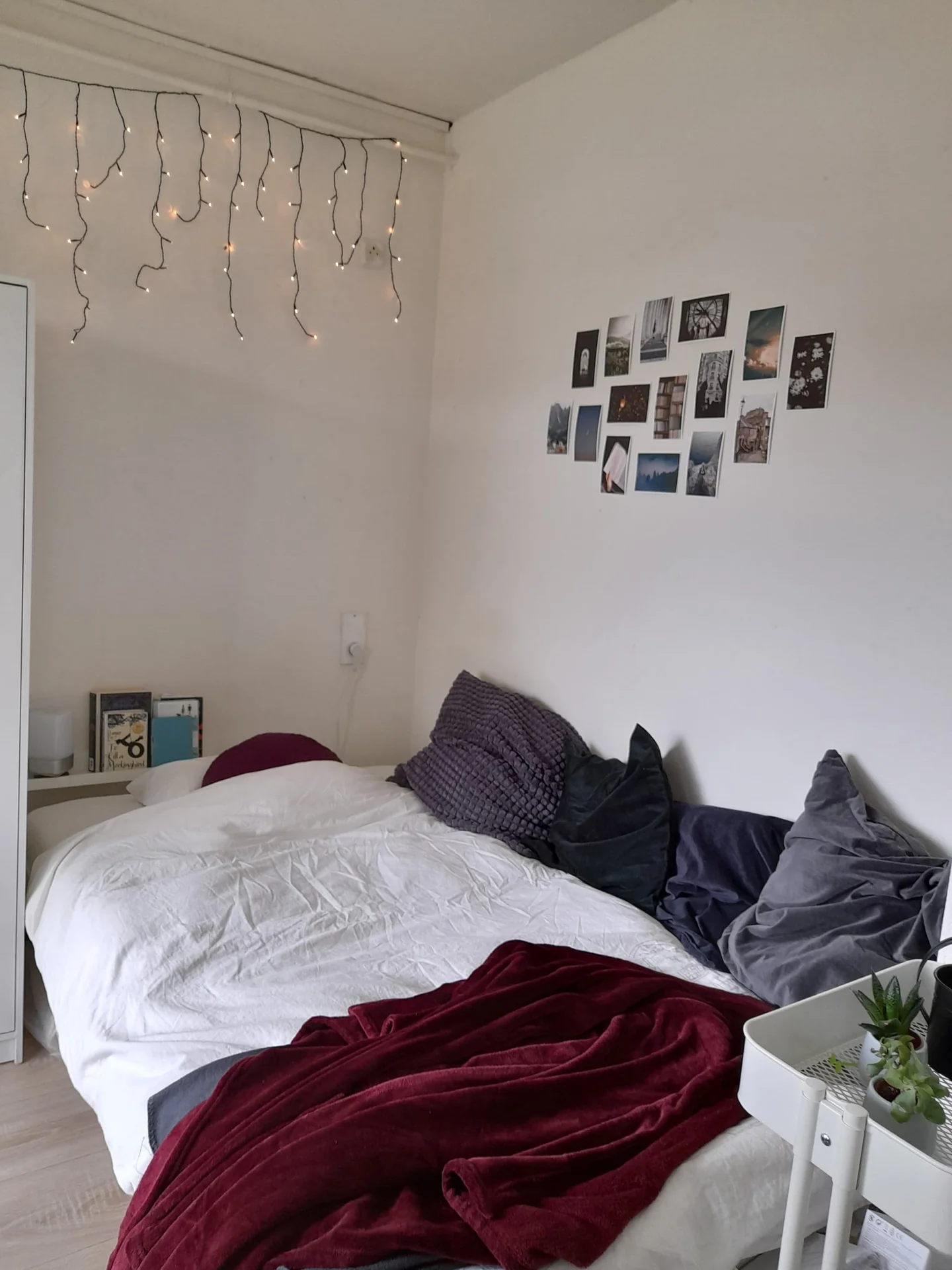 Foto van de Kamer gelegen aan de Aart van der Leeuwlaan in Delft