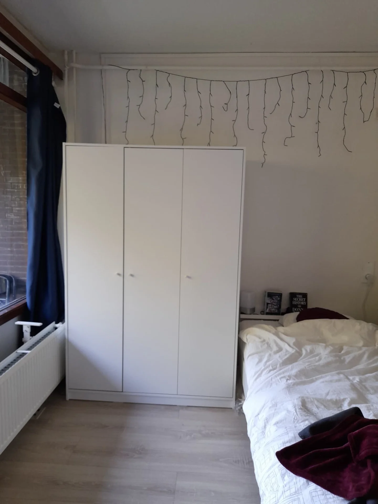 Foto van de Kamer gelegen aan de Aart van der Leeuwlaan in Delft