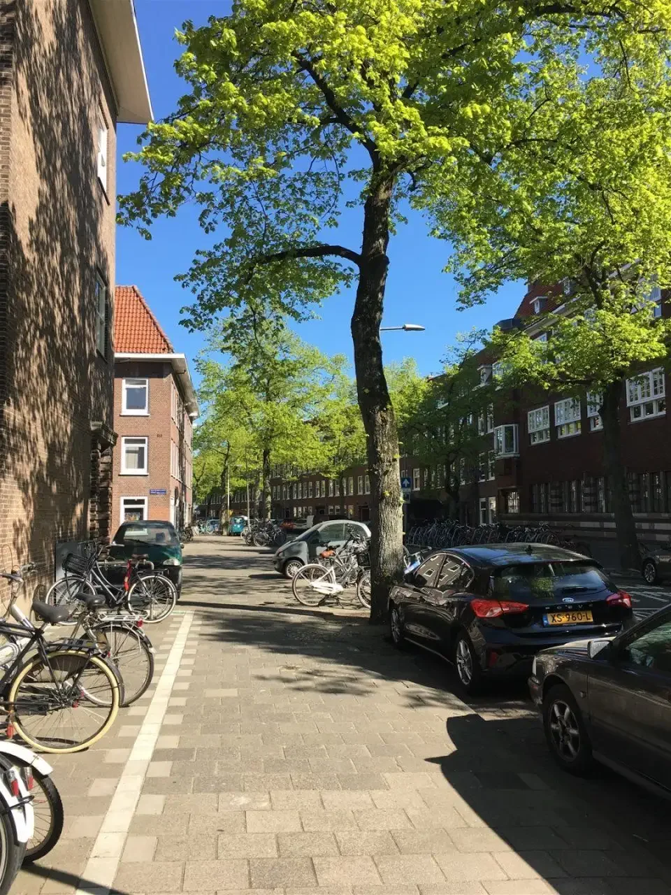 geblurde versie van de foto als achtergrond