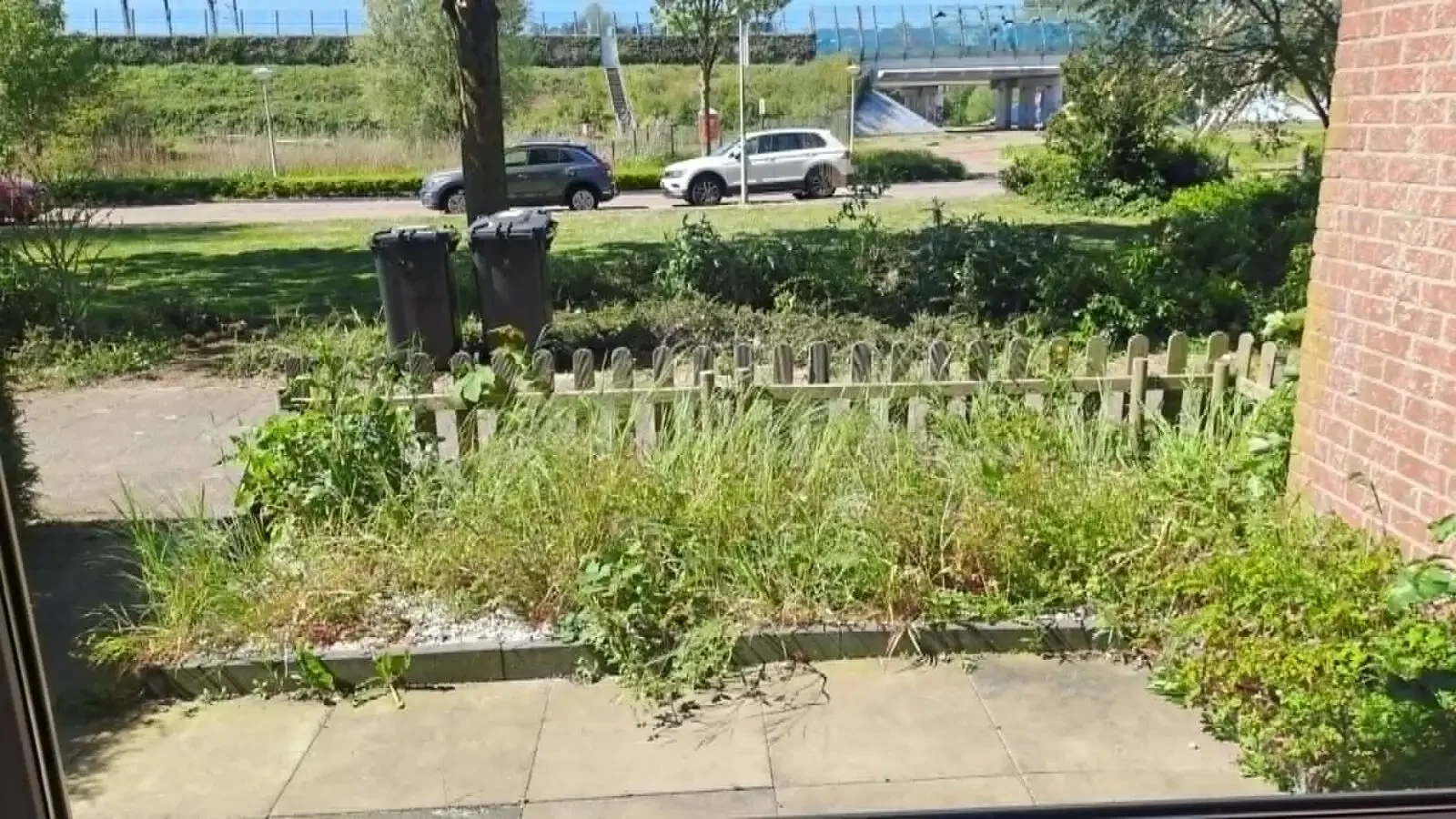 geblurde versie van de foto als achtergrond