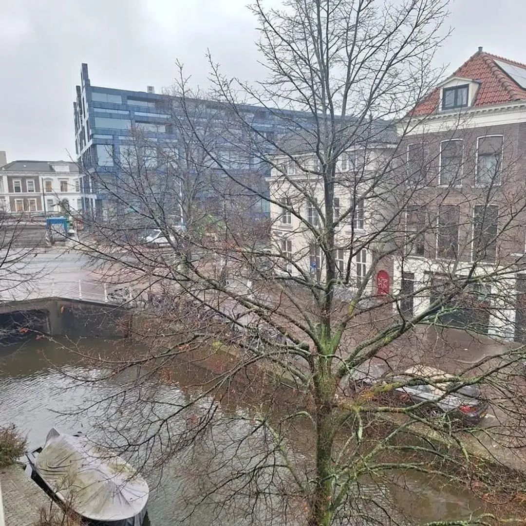 geblurde versie van de foto als achtergrond