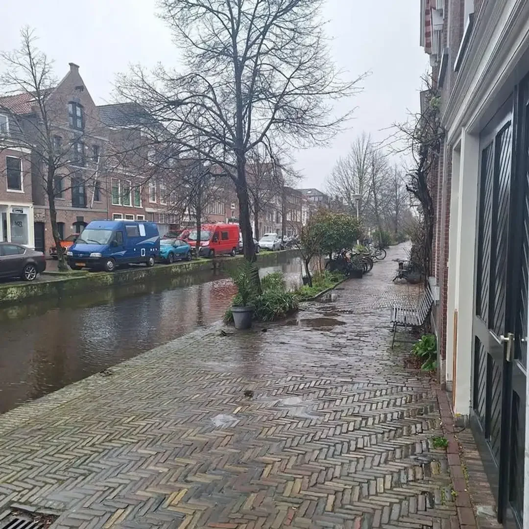 geblurde versie van de foto als achtergrond