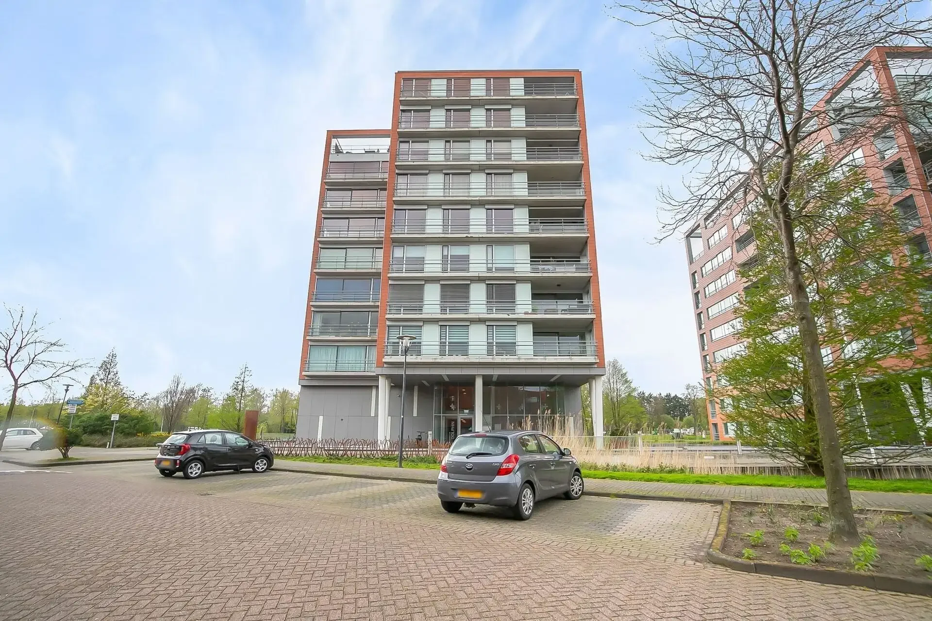 geblurde versie van de foto als achtergrond