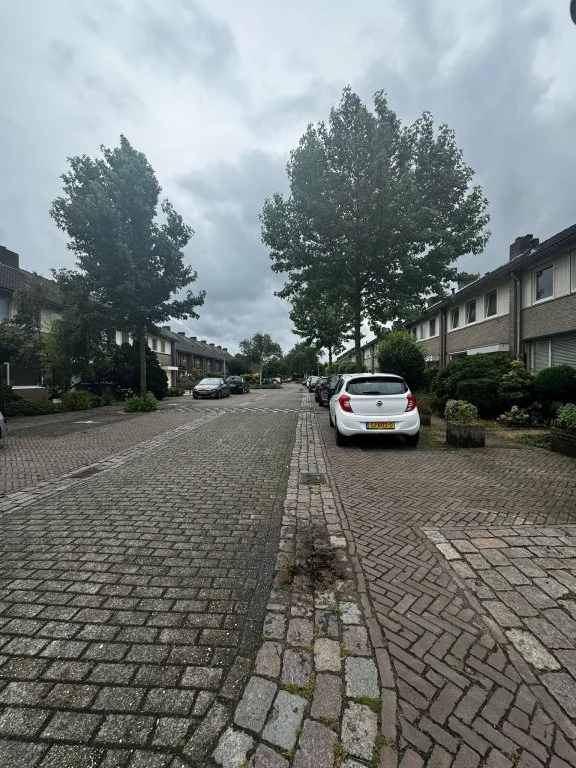 geblurde versie van de foto als achtergrond