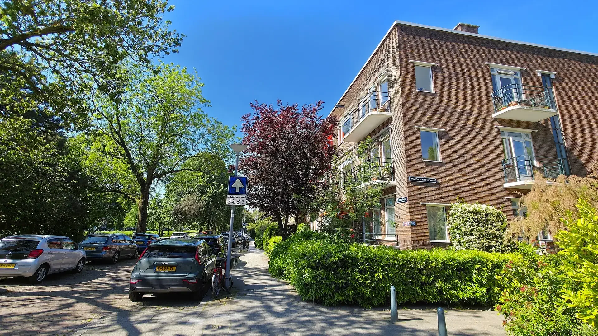 geblurde versie van de foto als achtergrond