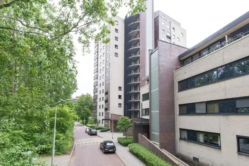 geblurde versie van de foto als achtergrond