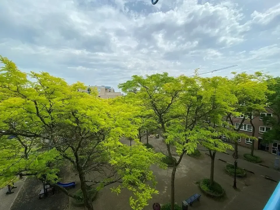 Foto van de Appartement gelegen aan de Sajetplein in Amsterdam