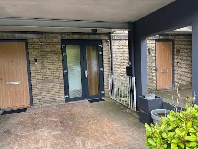 geblurde versie van de foto als achtergrond