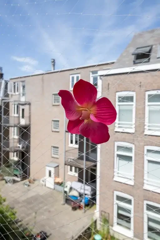 Foto van de Appartement gelegen aan de Albert Cuypstraat in Amsterdam