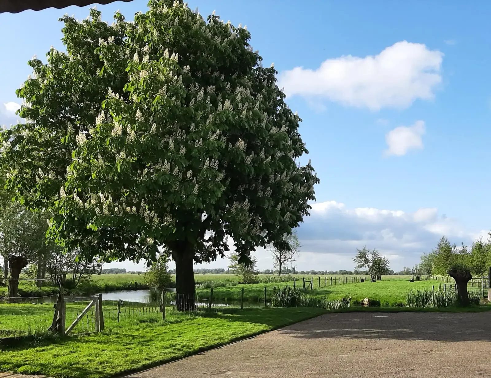 Foto van de Appartement gelegen aan de Benedenberg in Bergambacht