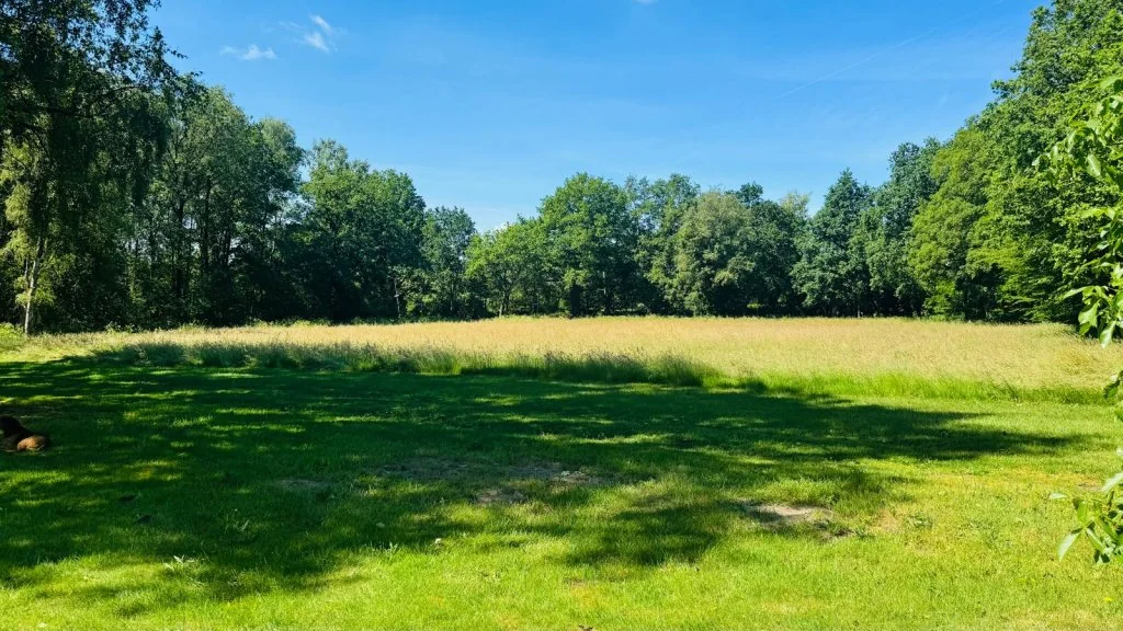Foto van de Appartement gelegen aan de Glanerveldweg in Enschede