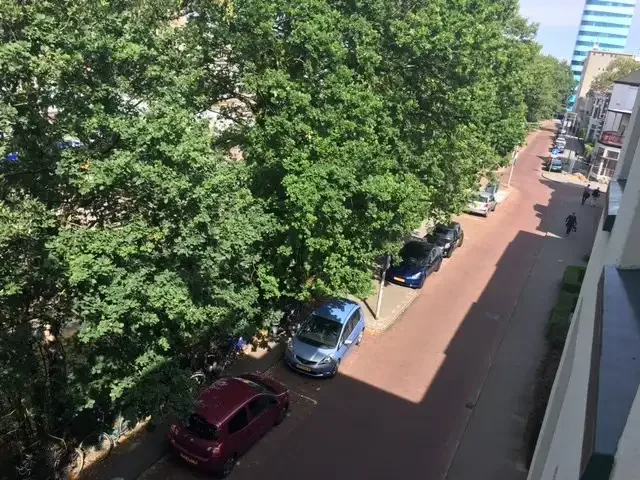 geblurde versie van de foto als achtergrond