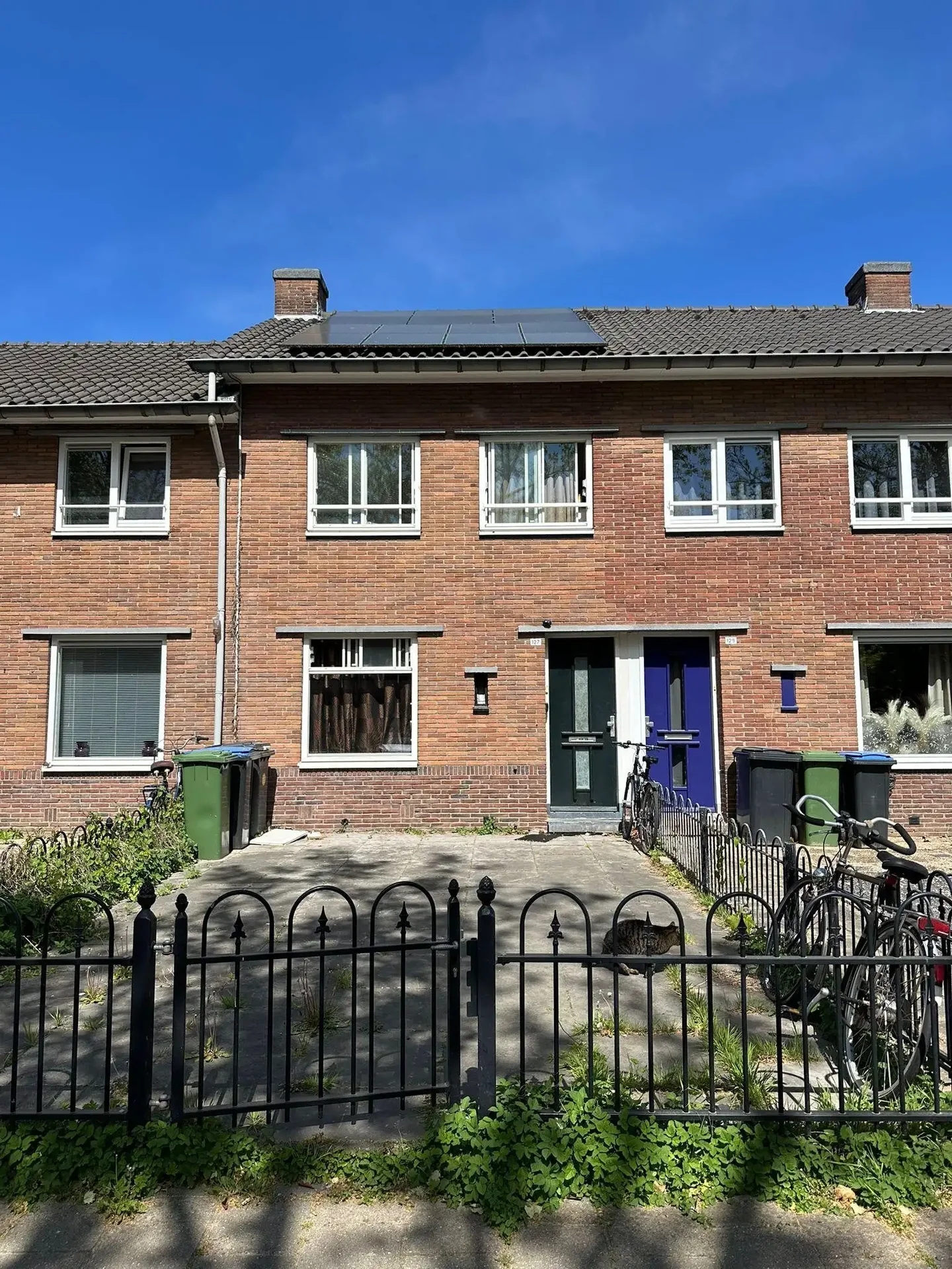 geblurde versie van de foto als achtergrond
