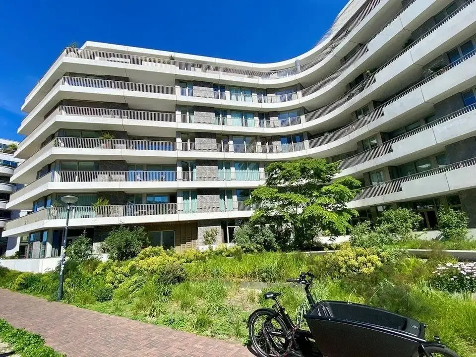 geblurde versie van de foto als achtergrond