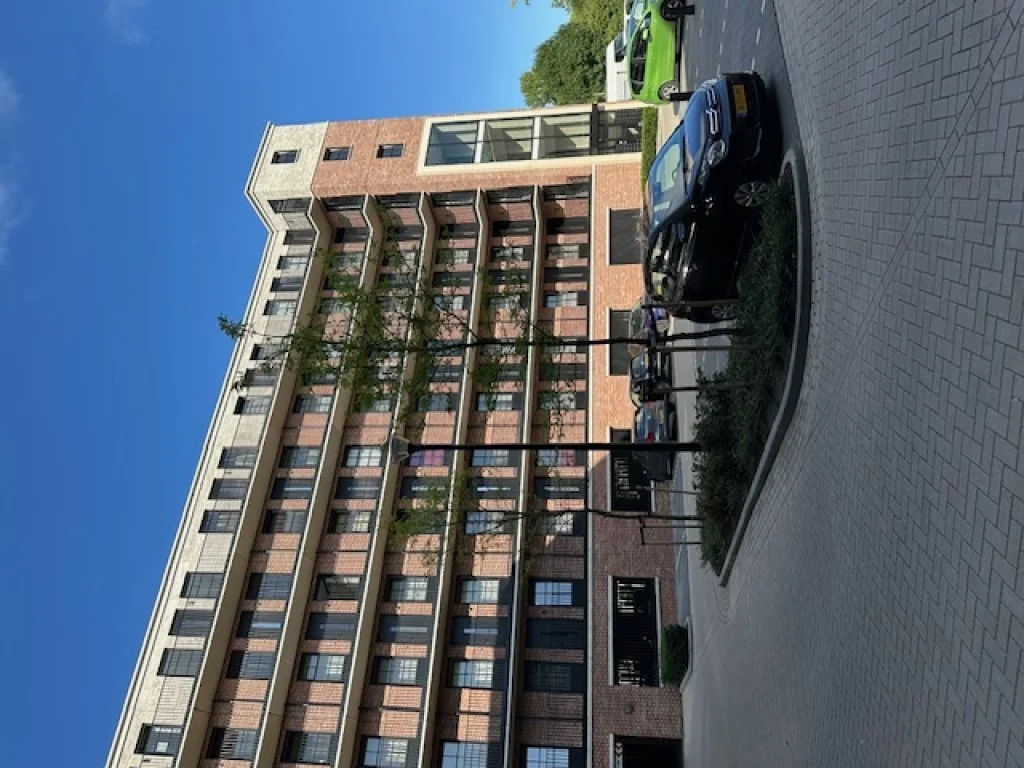 geblurde versie van de foto als achtergrond