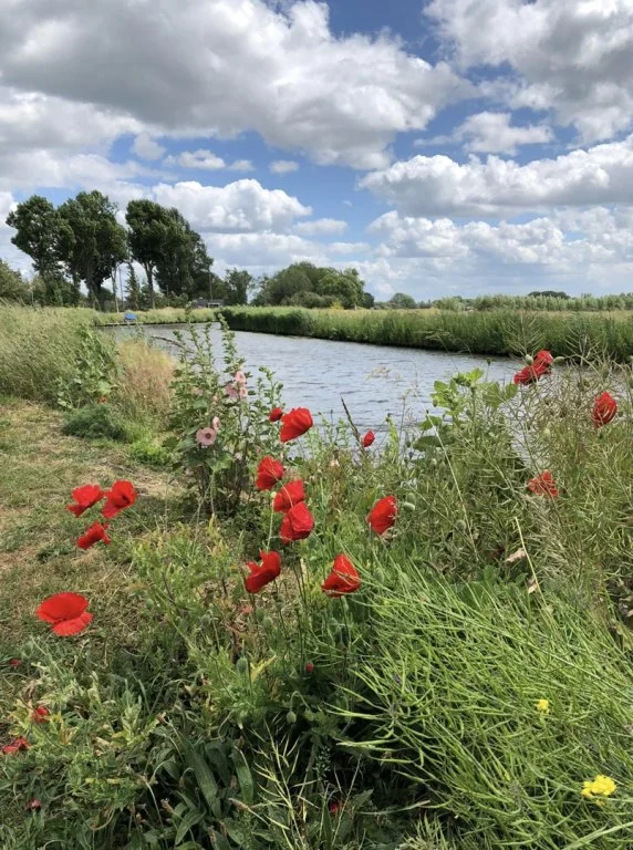 Foto van de Appartement gelegen aan de Hekendorpse Buurt in Hekendorp