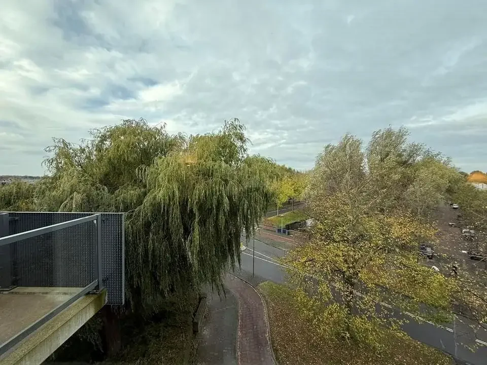 geblurde versie van de foto als achtergrond
