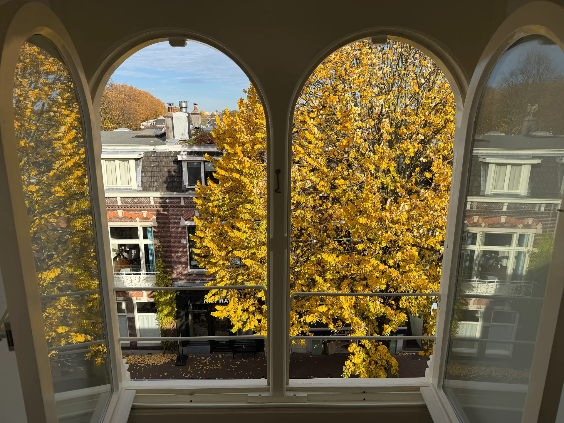 geblurde versie van de foto als achtergrond