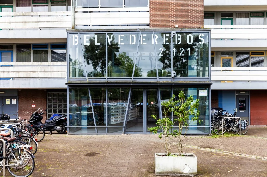 geblurde versie van de foto als achtergrond