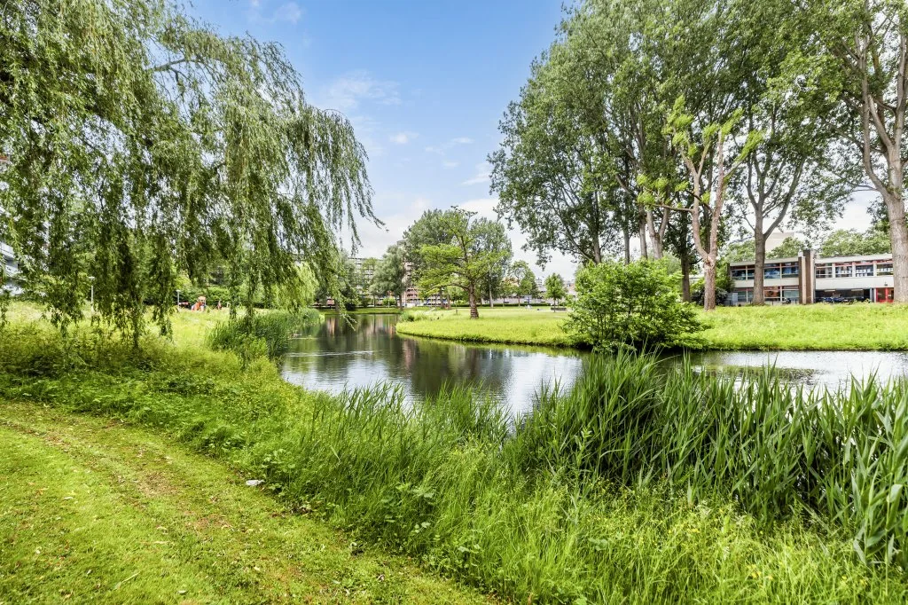 geblurde versie van de foto als achtergrond