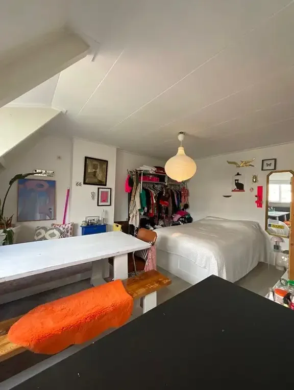 geblurde versie van de foto als achtergrond