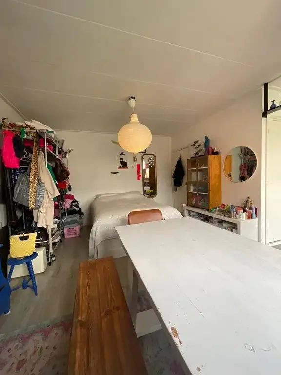 geblurde versie van de foto als achtergrond