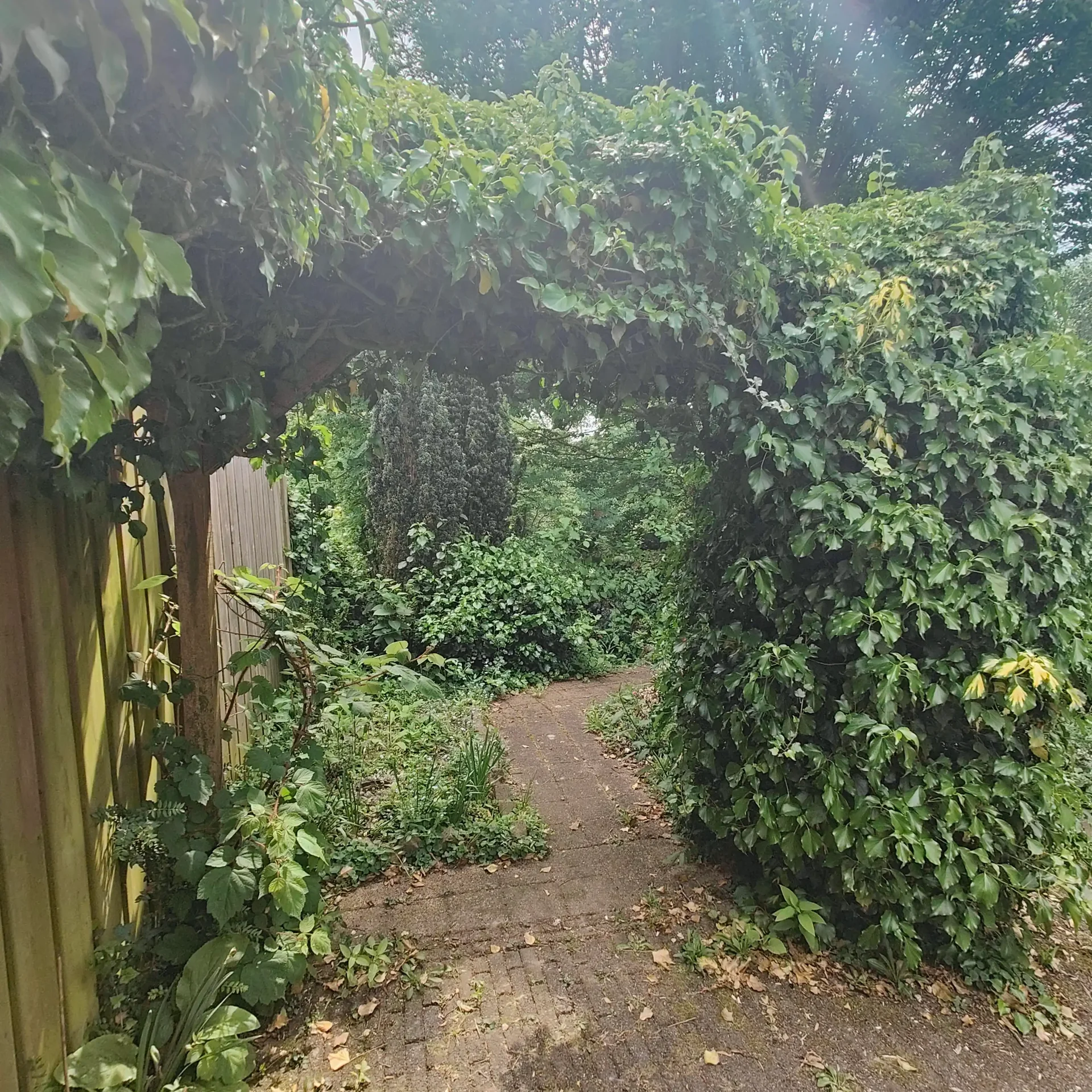 Foto van de Appartement gelegen aan de Wickenburg in Eindhoven